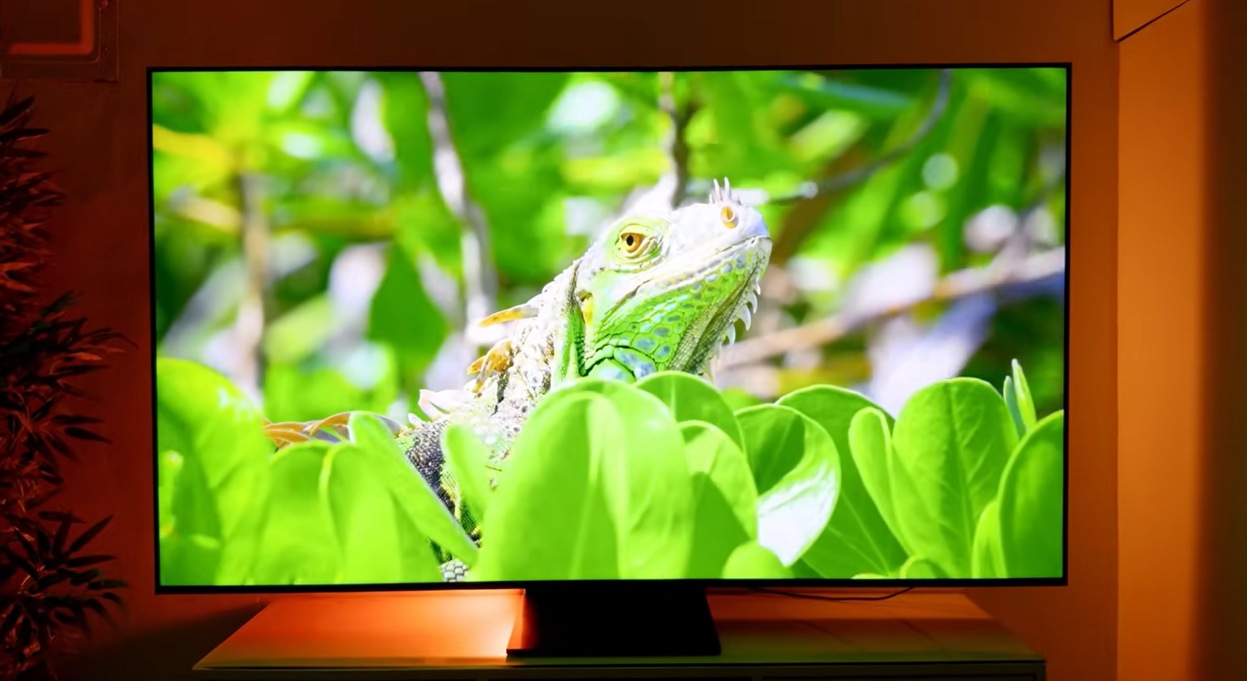 TCL C755 QD-Mini LED 4K TV